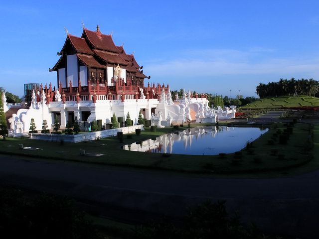 🌼 ธรรมชาติบำบัดใจ "อุทยานหลวงราชพฤกษ์" เชียงใหม่