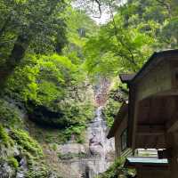 【隠岐の島】秘境　壇鏡の滝