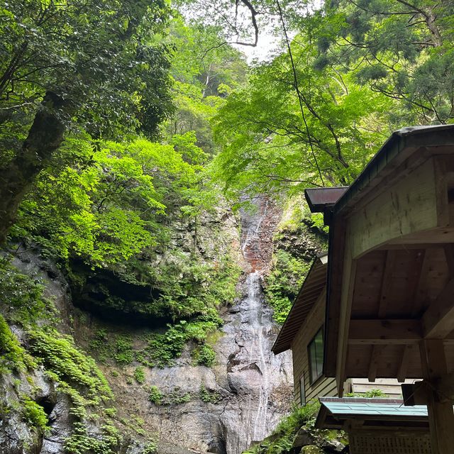 【隠岐の島】秘境　壇鏡の滝