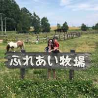 Kids Friendly Farm Chiyoda in Biei