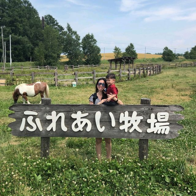 Kids Friendly Farm Chiyoda in Biei