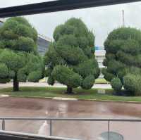 学到“松下”的精神，你就不虚此行 ❤️