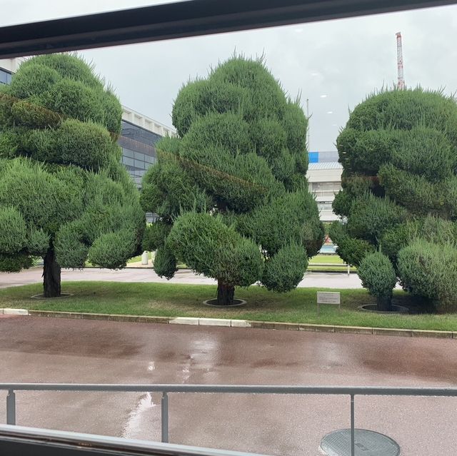 学到“松下”的精神，你就不虚此行 ❤️