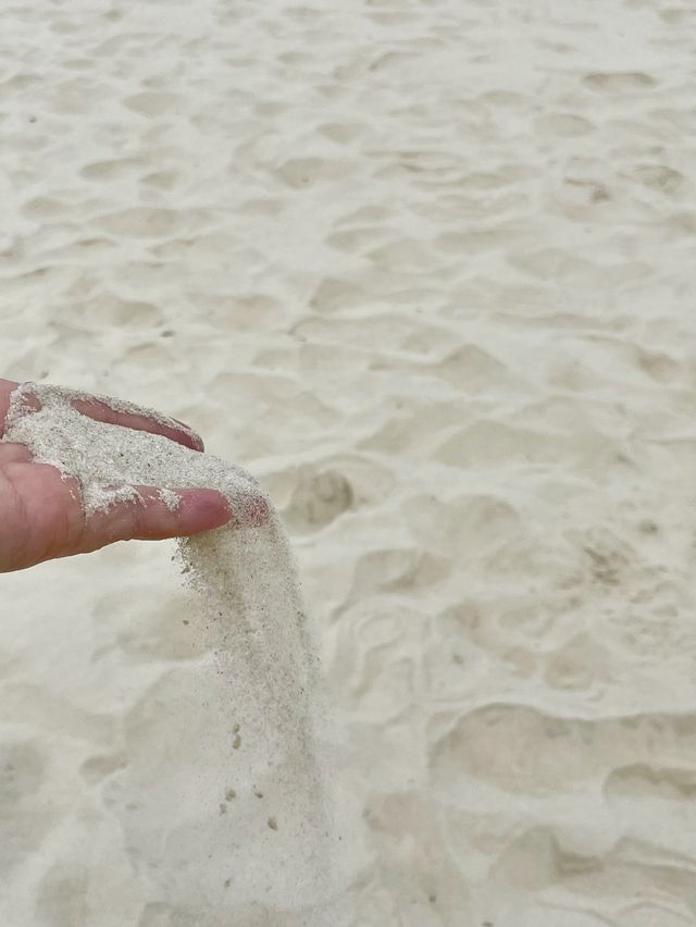 호주 서퍼들의 성지, 파도가 끊이질 않는 본다이 비치🏄🏻‍♂️