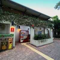 佔地廣闊嘅櫻桃街公園
