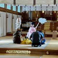 Niigata Suwa shrine sightseeing 