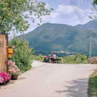 자연을 바라보는 홀리가든⛰️ 