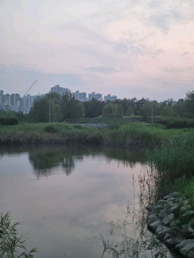 노을이 멋진 거대한 생태공원