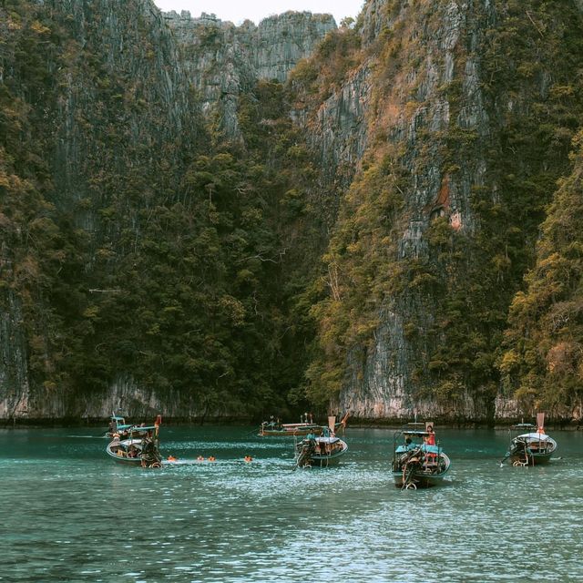 เกาะพีพี หนีเขา ไปทะเล 🌊