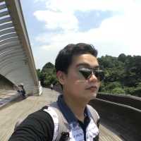 สะพานคลื่น henderson waves สิงคโปร์