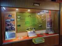 Replica Royal Palace Melawar (Rembau Museum) 