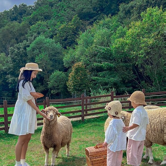 🐑 서울에서 딱 두시간‼️ 당일치기 스위스여행… K….