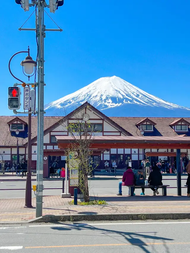 후지산을 한눈에 볼수 있는 일본 여행🏔️