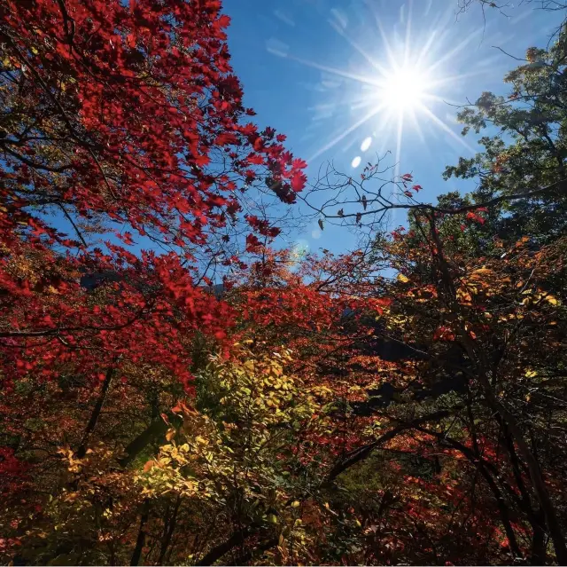 Autumn view of Seoraksan National Park 