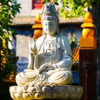 🏯🙏 大雄寶殿～神聖氛圍✨🌸🕊️