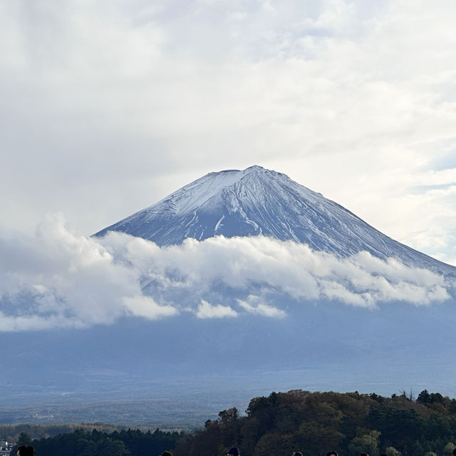 東京富士山-來回🔃包車打卡📷