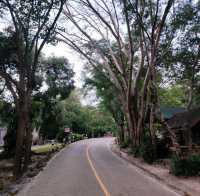 หนาวนี้ที่ผาหมอกมิวาย