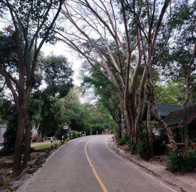 หนาวนี้ที่ผาหมอกมิวาย