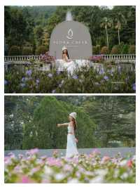ให้ดอกไม้และขุนเขาโอบกอดเราที่ "Flora Creek"