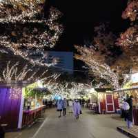 聖誕之夜🎄中洲川端影