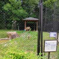 1903年開業の歴史ある動物園