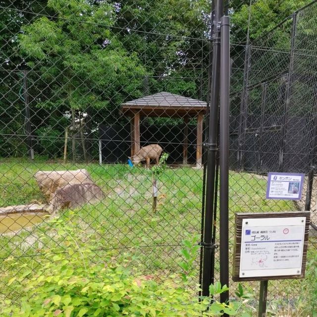 1903年開業の歴史ある動物園