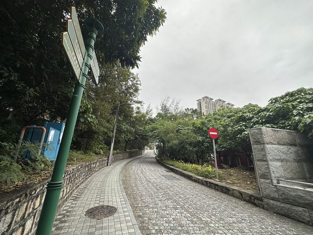 WINTER FRESH at Taipa Houses-Museum 🌸
