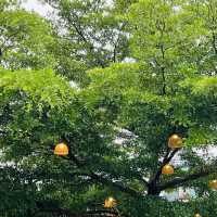 ร้านนั่งหน้าเตา