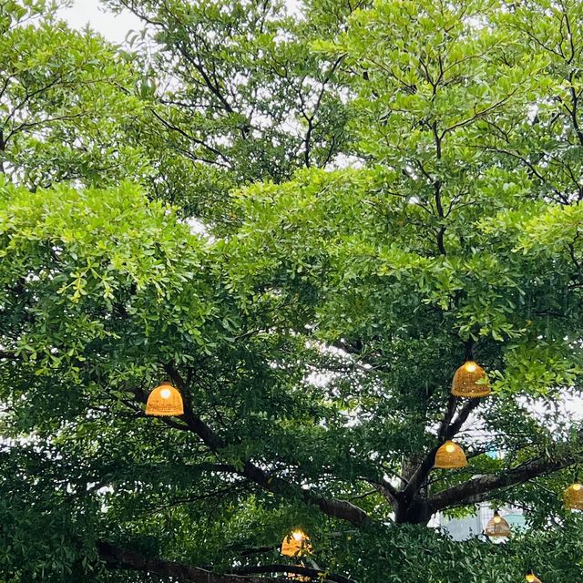 ร้านนั่งหน้าเตา