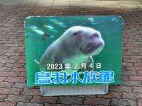 【三重県】飼育数日本一の水族館「鳥羽水族館」