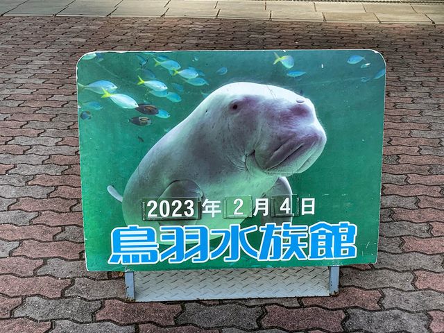 【三重県】飼育数日本一の水族館「鳥羽水族館」