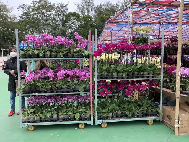 The Biggest Chinese New Year Flower Market In Hong Kong
