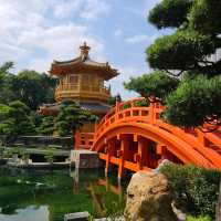 鬧市中的古園：南蓮園池