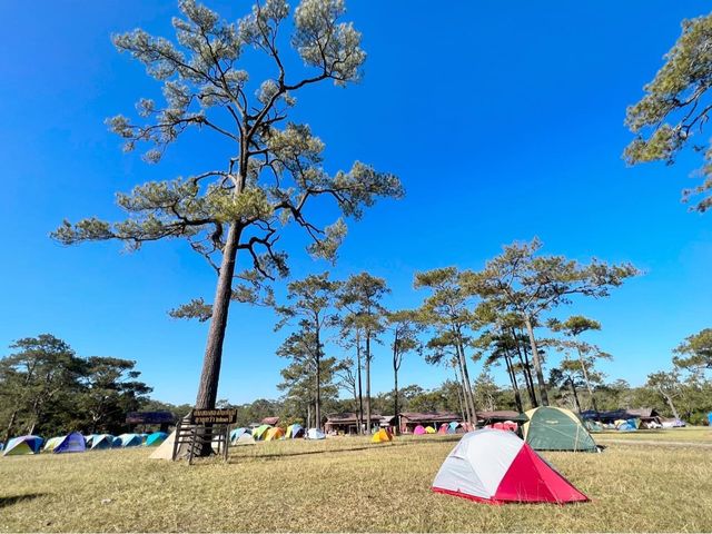 พิชิต ภูกระดึง โหดต่อขา แต่ดีต่อใจ⛰️