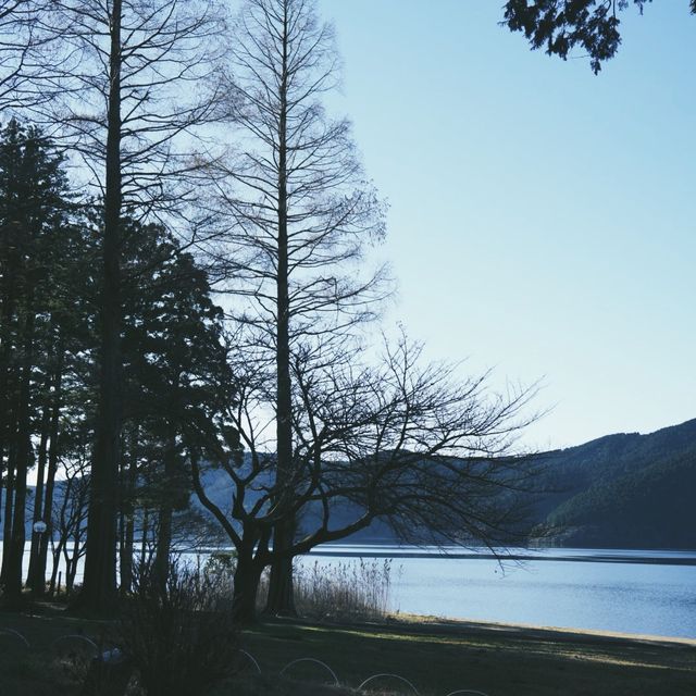 冬の箱根ガラスの森美術館へ