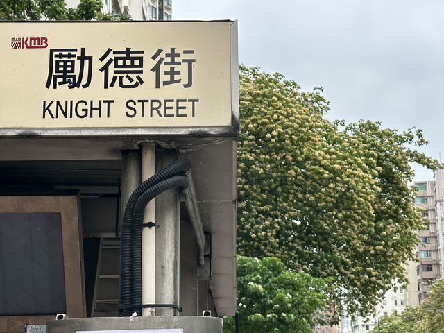 香港賞花 | 太子道西一帶魚木盛放