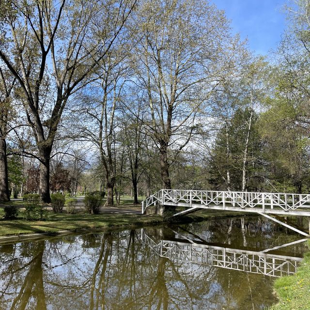 A walk in the beautiful park