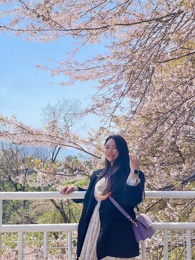 김해 벚꽃 명소, SNS 핫플 가야랜드🎡