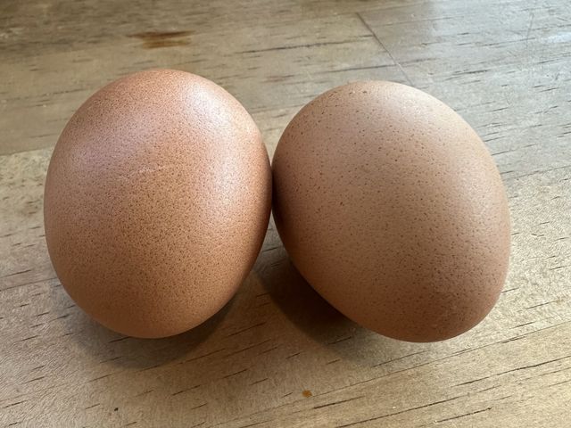 マグマのチカラを味わう売店