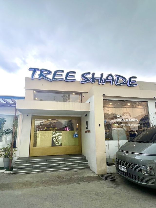 菲律賓宿霧｜與鯨鯊共游、賞瀑布、遊古蹟