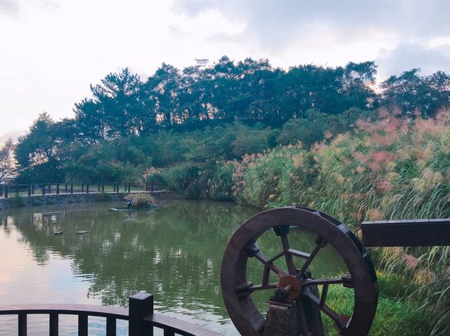 台北必去景點🐱貓空泡茶🍵