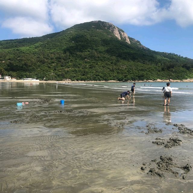 貝澳沙灘摸蜆遊
