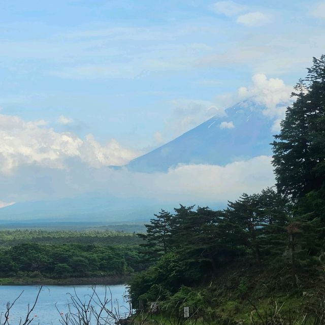 觀看富士山🏔2天之旅散策