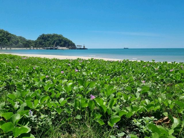 หาดคอเขา อ่าวขนอม ทะเลฝั่งอ่าวไทย 🏝