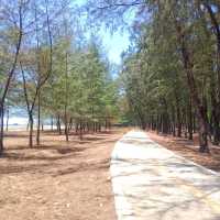วนอุทยานปราณบุรี แหล่งเรียนรู้ป่าชายเลน