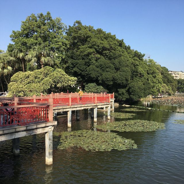 可影廣州塔倒影的公園