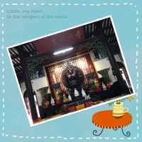 禪院參拜🙏🏻逐個睇👆
