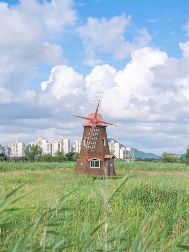들판위 아름다운 풍차가 있는곳