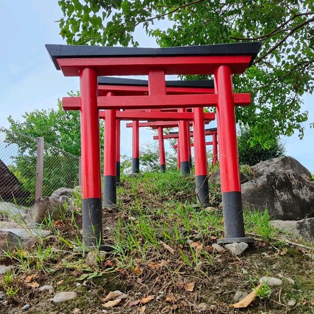 宜蘭綠舞日式園區來看看水豚君