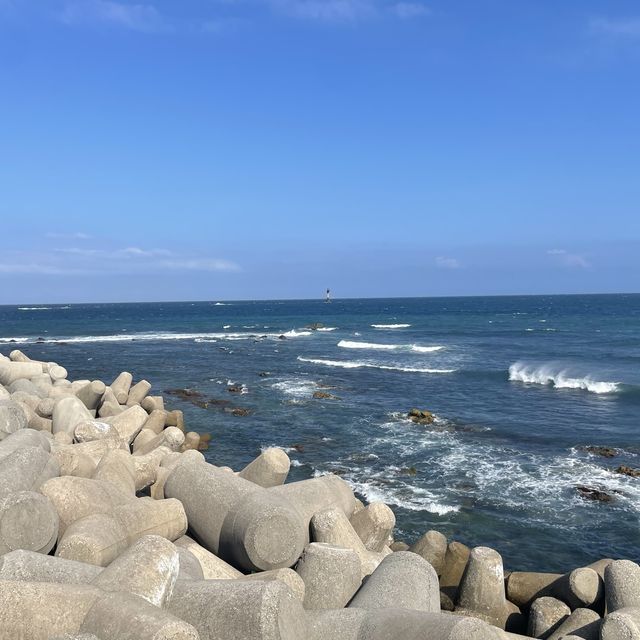 釜山海雲台人氣膠囊列車🥳